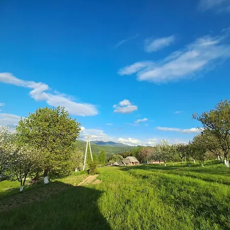 вершина мрій Holiday home *
